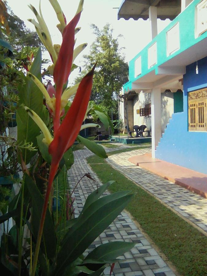 Thomasha Homestay Wellawaya Ngoại thất bức ảnh