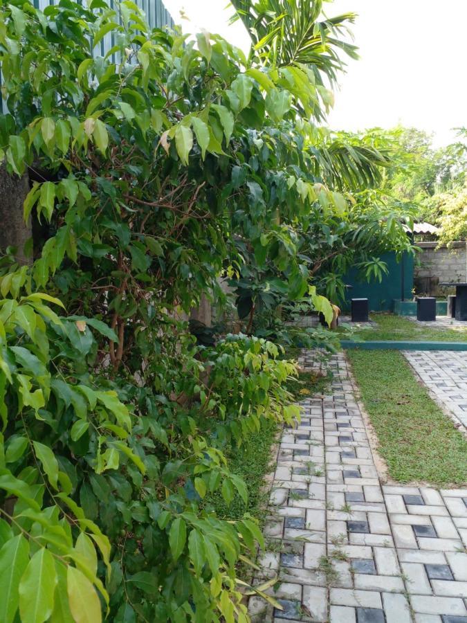 Thomasha Homestay Wellawaya Ngoại thất bức ảnh