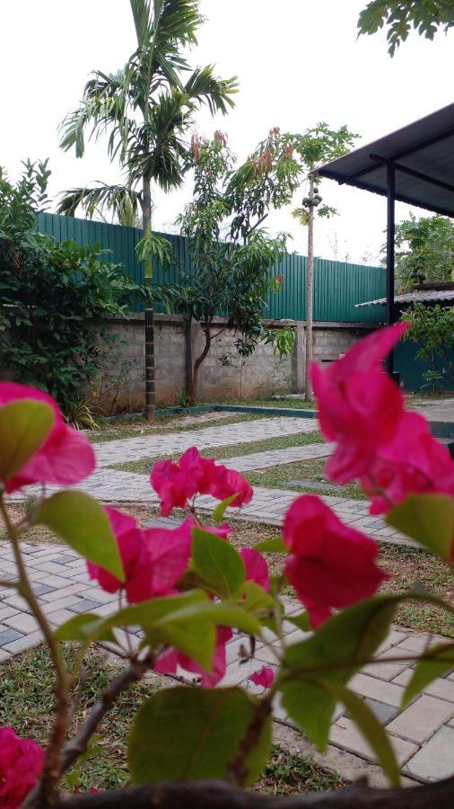 Thomasha Homestay Wellawaya Ngoại thất bức ảnh
